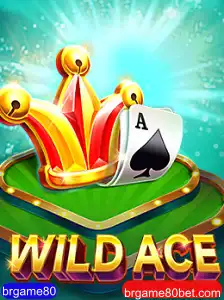Explorando o Universo de WildAce: O Novo Sensação dos Jogos